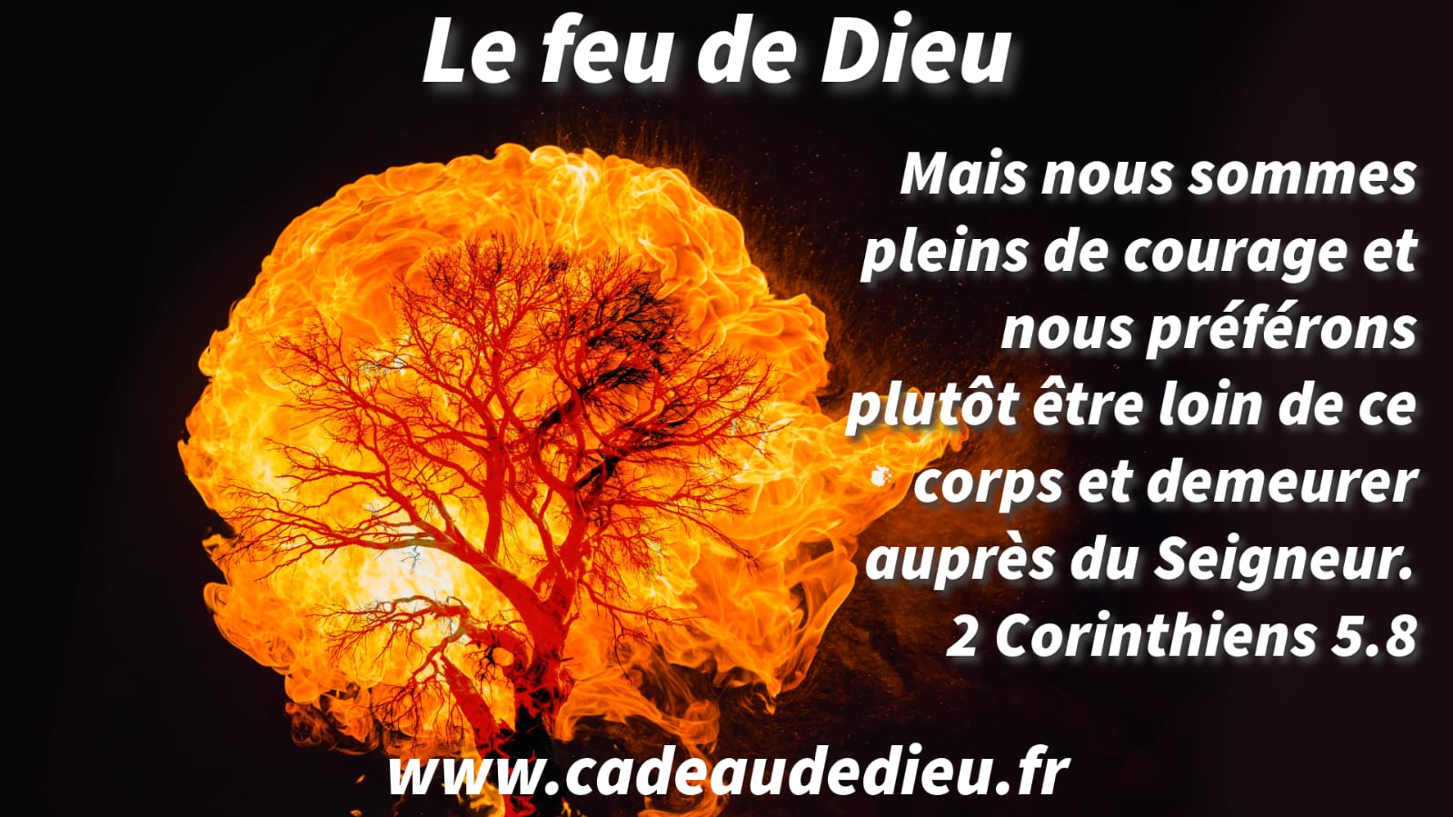 Le feu de Dieu
