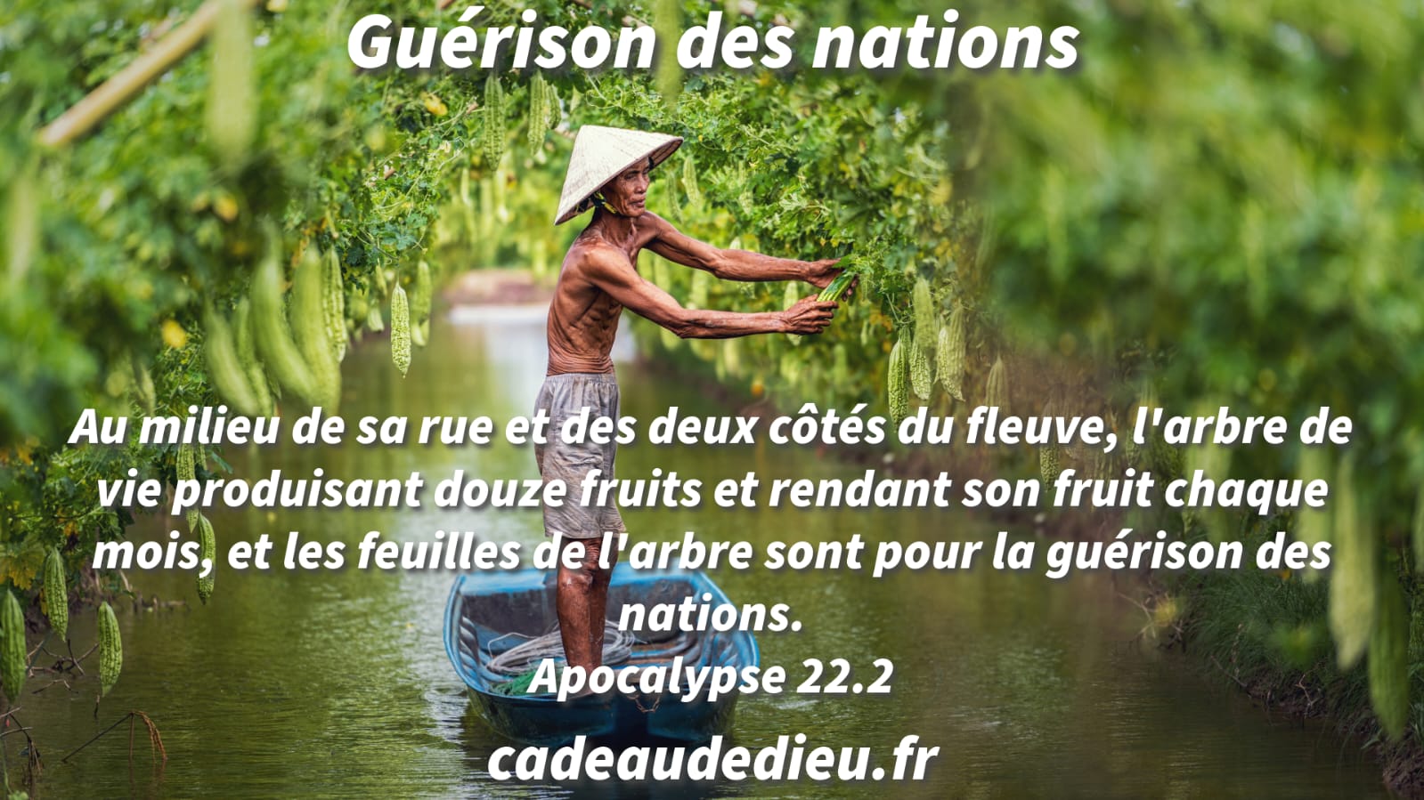 Guérison des nations