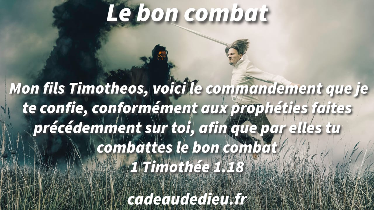 Le bon combat