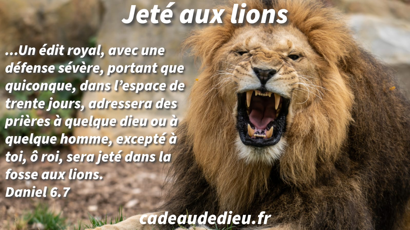 Jeté aux lions