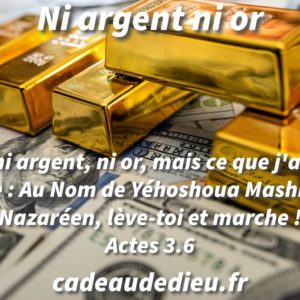 Ni argent ni or